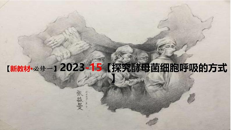 (新人教版)新高考生物一轮复习精讲课件15 探究酵母菌细胞呼吸的方式(含答案)第1页