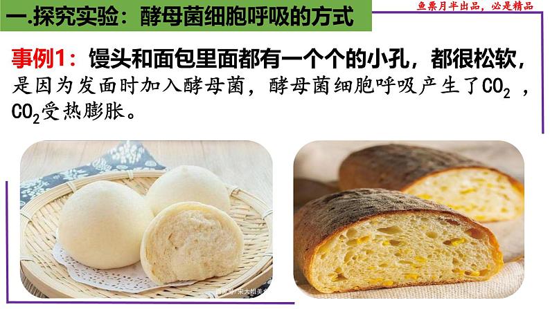 (新人教版)新高考生物一轮复习精讲课件15 探究酵母菌细胞呼吸的方式(含答案)第3页
