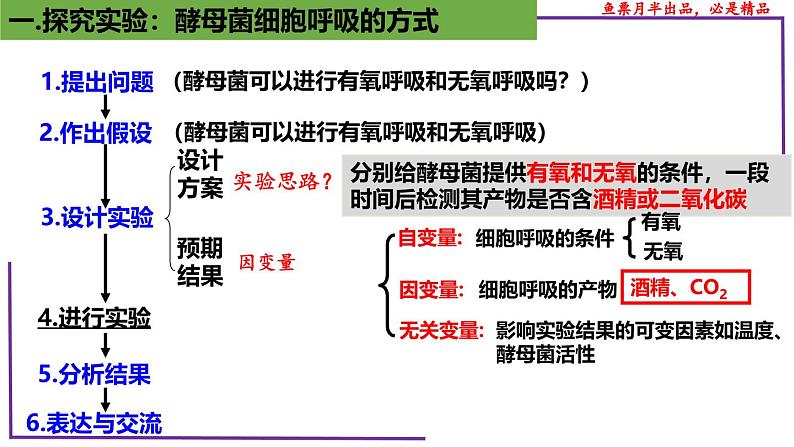 (新人教版)新高考生物一轮复习精讲课件15 探究酵母菌细胞呼吸的方式(含答案)第5页