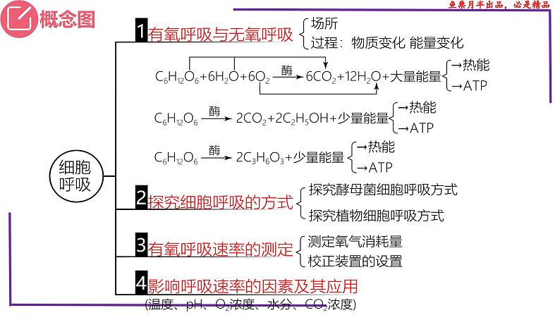 (新人教版)新高考生物一轮复习精讲课件16 细胞呼吸(含答案)第3页