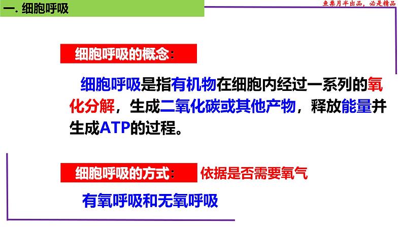 (新人教版)新高考生物一轮复习精讲课件16 细胞呼吸(含答案)第5页