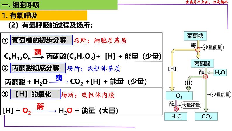 (新人教版)新高考生物一轮复习精讲课件16 细胞呼吸(含答案)第7页