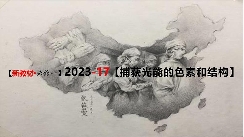 (新人教版)新高考生物一轮复习精讲课件17 光合作用1(捕获光能的色素和结构)(含答案)第1页