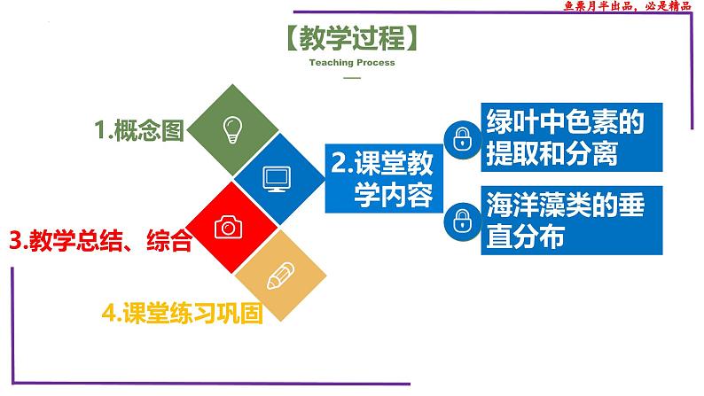 (新人教版)新高考生物一轮复习精讲课件17 光合作用1(捕获光能的色素和结构)(含答案)第2页