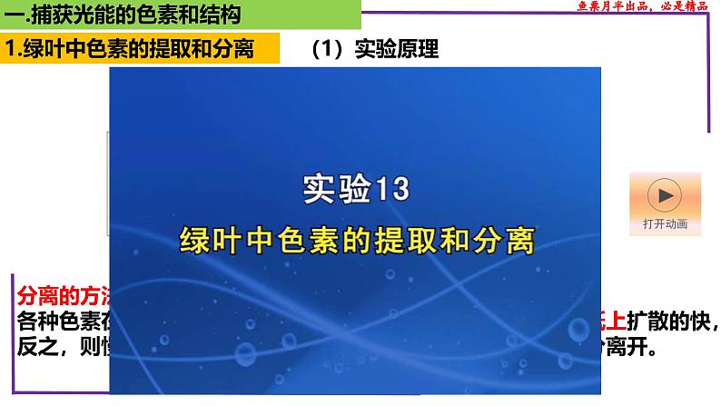 (新人教版)新高考生物一轮复习精讲课件17 光合作用1(捕获光能的色素和结构)(含答案)第4页