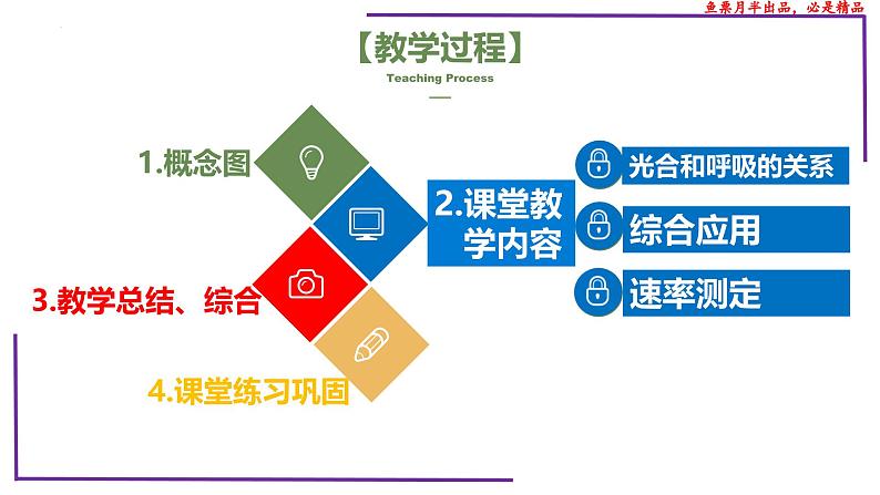 (新人教版)新高考生物一轮复习精讲课件20 光合作用4(光合作用与呼吸作用)(含答案)第2页