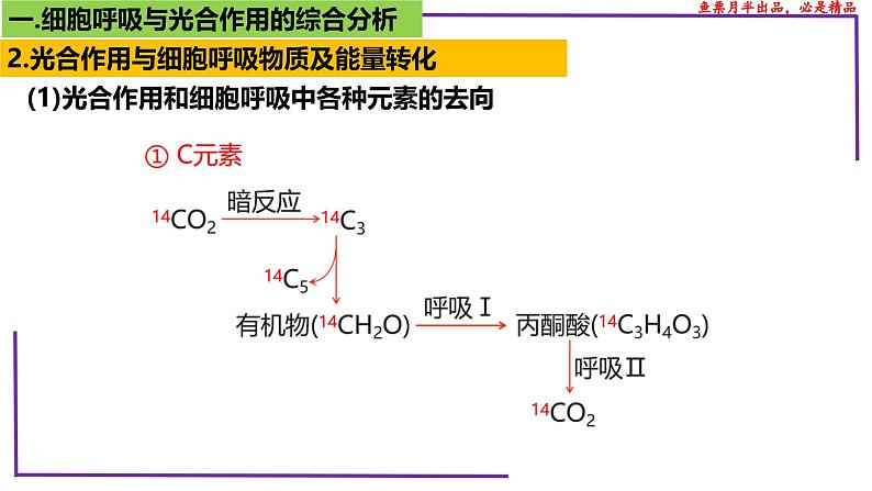 (新人教版)新高考生物一轮复习精讲课件20 光合作用4(光合作用与呼吸作用)(含答案)第6页