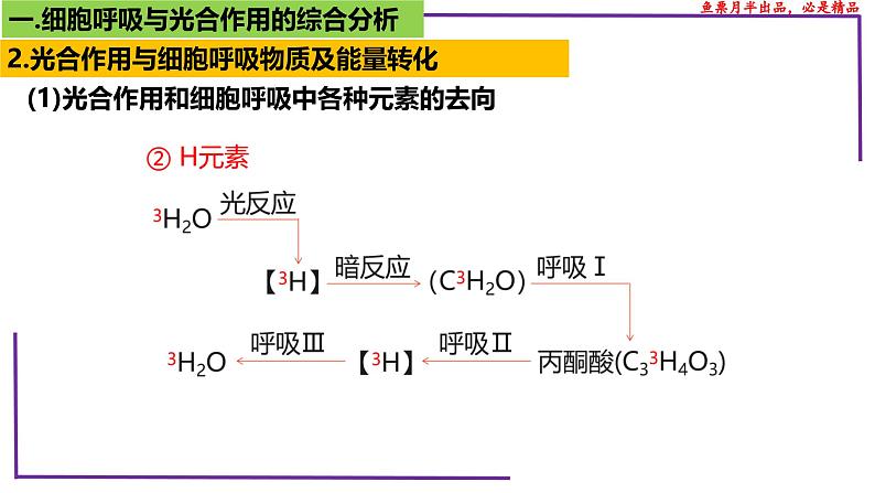 (新人教版)新高考生物一轮复习精讲课件20 光合作用4(光合作用与呼吸作用)(含答案)第7页