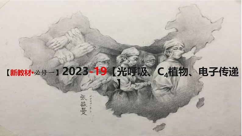(新人教版)新高考生物一轮复习精讲课件21 光合作用5(光呼吸、电子传递、C4等植物)(含答案)第1页