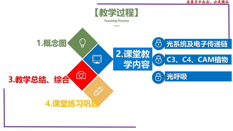 (新人教版)新高考生物一轮复习精讲课件21 光合作用5(光呼吸、电子传递、C4等植物)(含答案)第2页