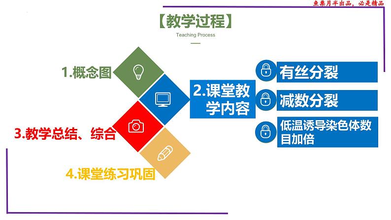 (新人教版)新高考生物一轮复习精讲课件23 分裂有关的三个实验(含答案)第2页