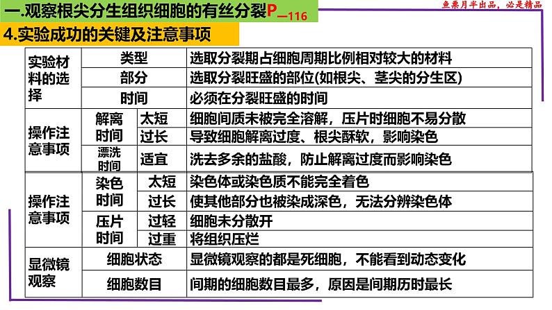 (新人教版)新高考生物一轮复习精讲课件23 分裂有关的三个实验(含答案)第8页