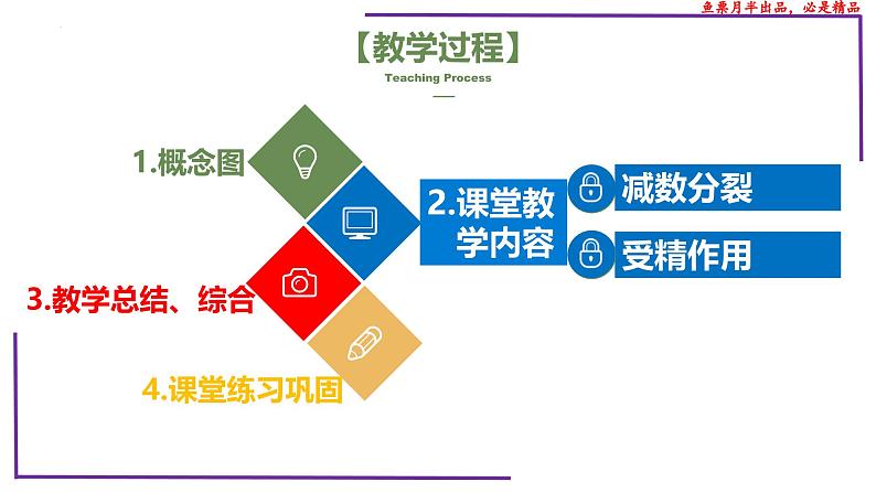 (新人教版)新高考生物一轮复习精讲课件26 减数分裂(含答案)第2页