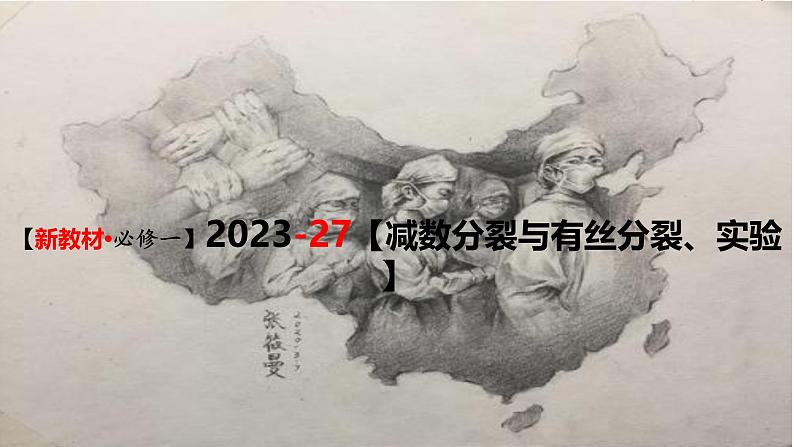 (新人教版)新高考生物一轮复习精讲课件27 有丝分裂和减数分裂 观察蝗虫精母细胞减数分裂装片(含答案)第1页