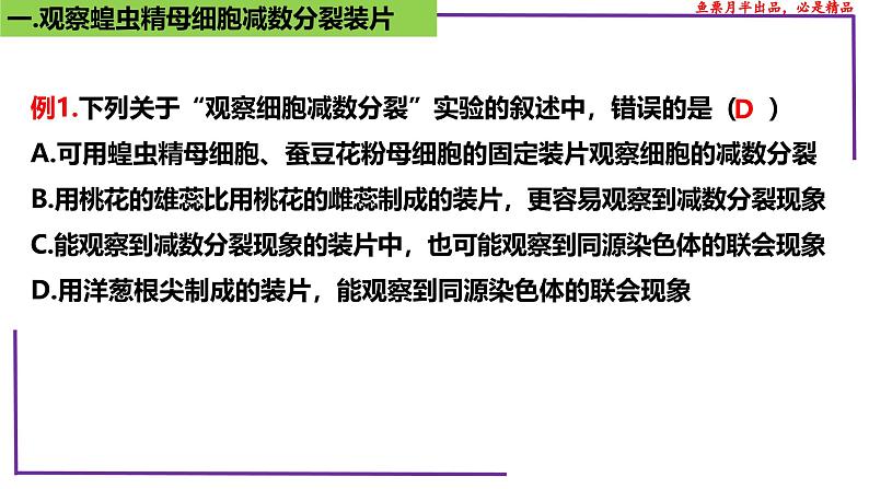 (新人教版)新高考生物一轮复习精讲课件27 有丝分裂和减数分裂 观察蝗虫精母细胞减数分裂装片(含答案)第7页