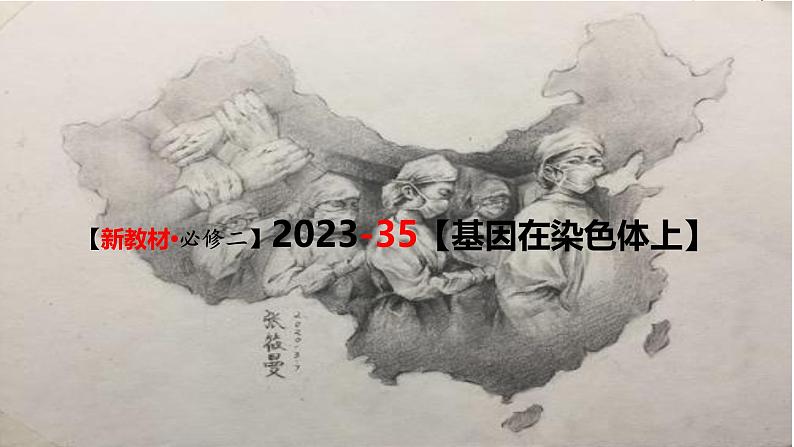 (新人教版)新高考生物一轮复习精讲课件35 基因在染色体上(含答案)第1页