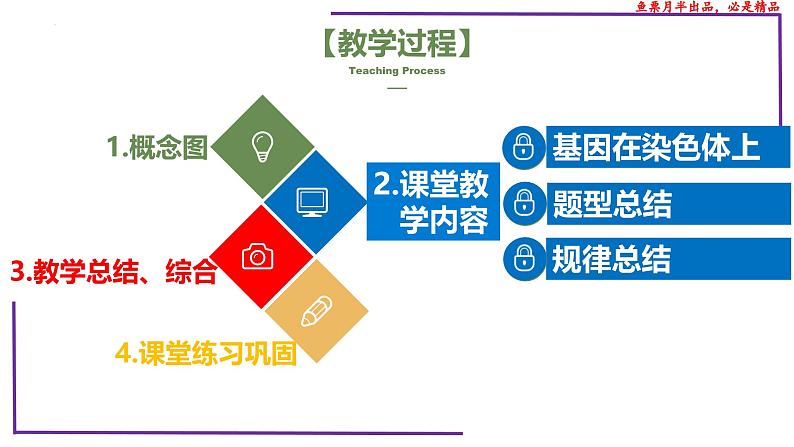 (新人教版)新高考生物一轮复习精讲课件35 基因在染色体上(含答案)第2页