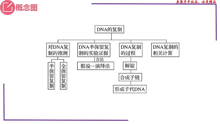 (新人教版)新高考生物一輪復(fù)習精講課件41 DNA分子的復(fù)制(含答案)第3頁