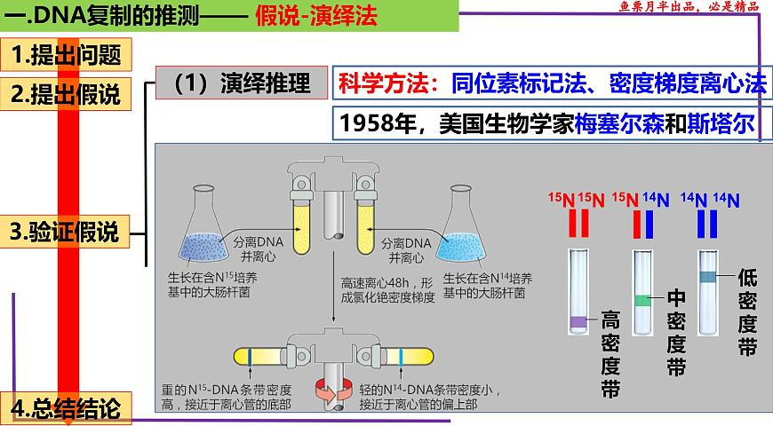 (新人教版)新高考生物一輪復(fù)習精講課件41 DNA分子的復(fù)制(含答案)第5頁