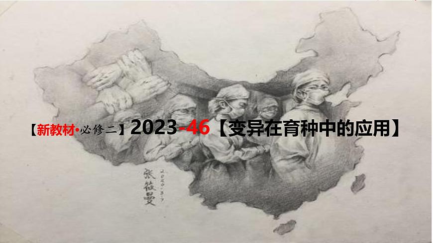 (新人教版)新高考生物一輪復(fù)習(xí)精講課件46變異在育種上的應(yīng)用(含答案)第1頁
