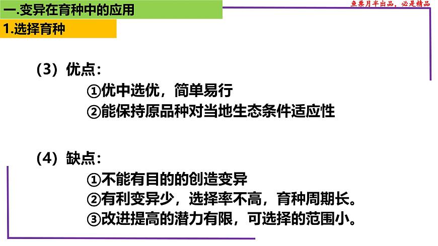 (新人教版)新高考生物一輪復(fù)習(xí)精講課件46變異在育種上的應(yīng)用(含答案)第5頁