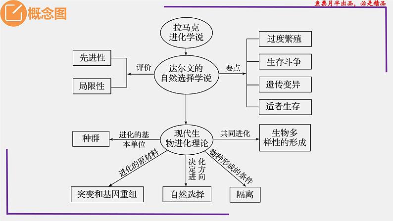 (新人教版)新高考生物一轮复习精讲课件48生物的进化(含答案)第2页