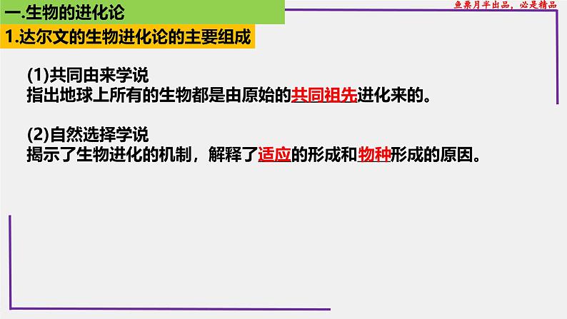 (新人教版)新高考生物一轮复习精讲课件48生物的进化(含答案)第4页
