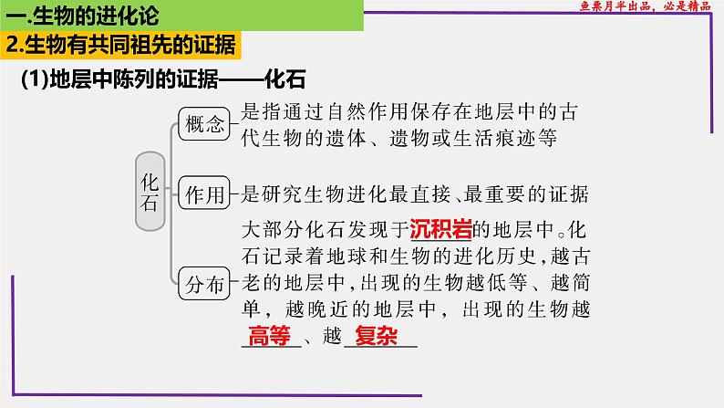 (新人教版)新高考生物一轮复习精讲课件48生物的进化(含答案)第5页