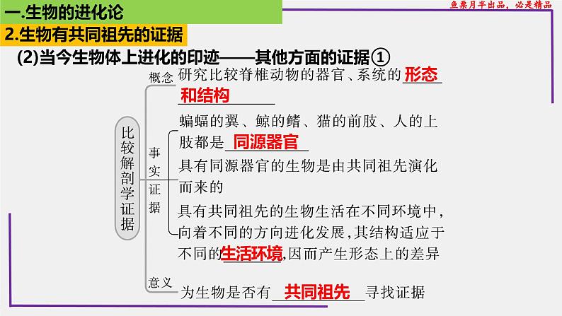 (新人教版)新高考生物一轮复习精讲课件48生物的进化(含答案)第6页