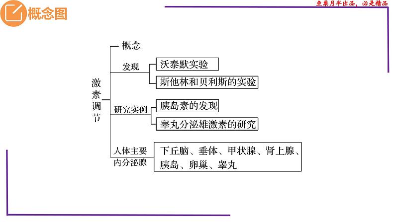 (新人教版)新高考生物一轮复习精讲课件55体液调节与内分泌系统(含答案)第3页