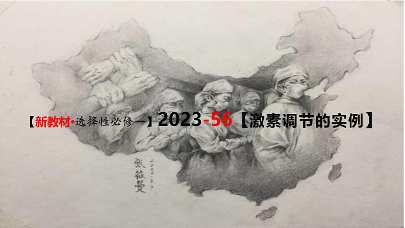 (新人教版)新高考生物一轮复习精讲课件56激素调节的实例(含答案)01