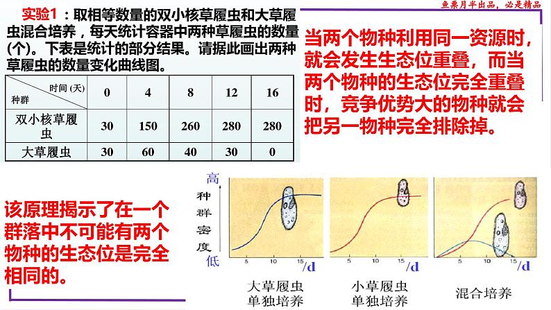 (新人教版)新高考生物一轮复习精讲课件68群落的生态位(含答案)第4页