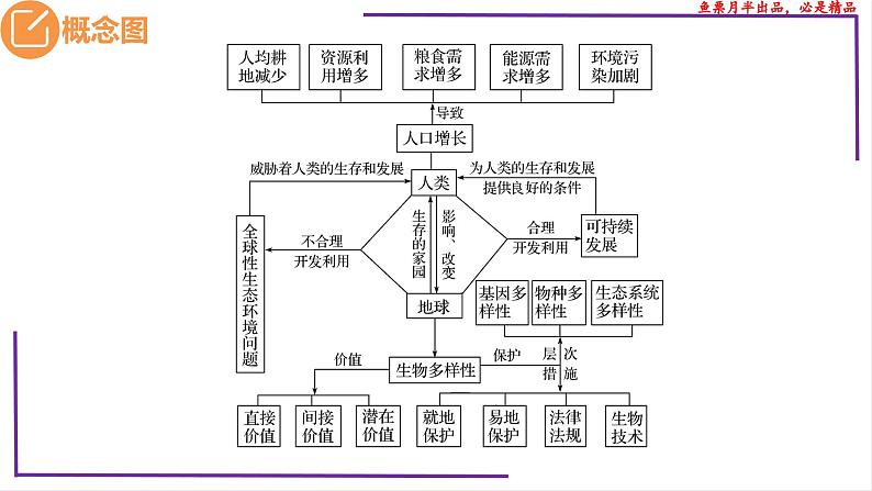 (新人教版)新高考生物一轮复习精讲课件74人与环境(含答案)03