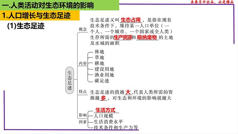 (新人教版)新高考生物一轮复习精讲课件74人与环境(含答案)04