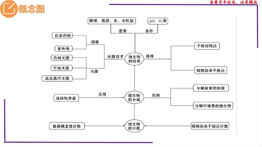 (新人教版)新高考生物一輪復(fù)習(xí)精講課件76 微生物的培養(yǎng)技術(shù)及應(yīng)用(含答案)第3頁