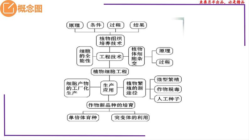 (新人教版)新高考生物一轮复习精讲课件77 植物细胞工程(含答案)第3页