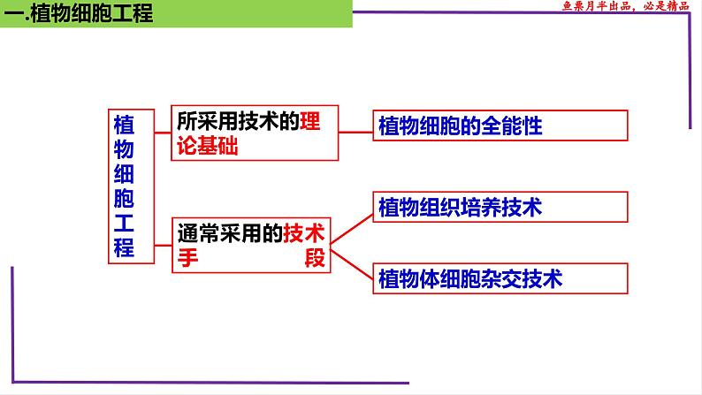 (新人教版)新高考生物一轮复习精讲课件77 植物细胞工程(含答案)第5页