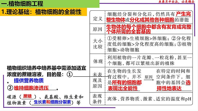 (新人教版)新高考生物一轮复习精讲课件77 植物细胞工程(含答案)第6页