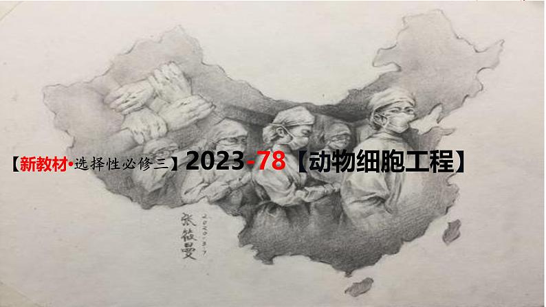 (新人教版)新高考生物一轮复习精讲课件78 动物细胞工程(含答案)第1页