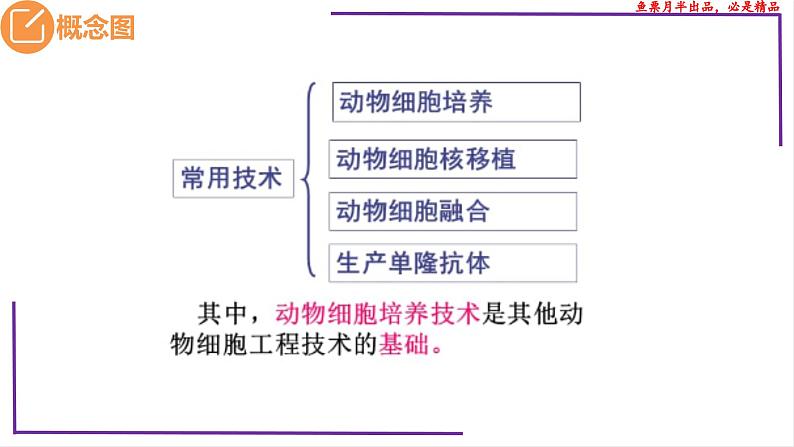 (新人教版)新高考生物一轮复习精讲课件78 动物细胞工程(含答案)第3页