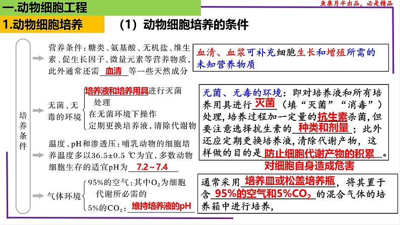 (新人教版)新高考生物一轮复习精讲课件78 动物细胞工程(含答案)第5页