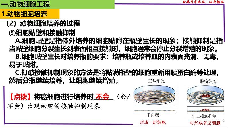 (新人教版)新高考生物一轮复习精讲课件78 动物细胞工程(含答案)第7页