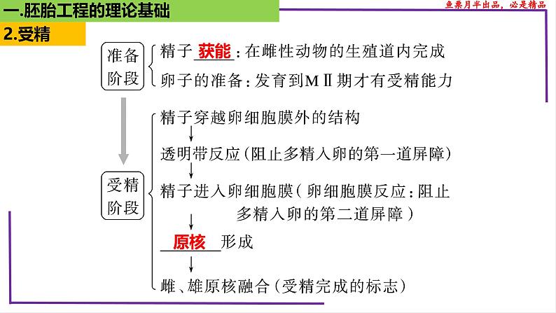 (新人教版)新高考生物一轮复习精讲课件79 胚胎工程(含答案)05