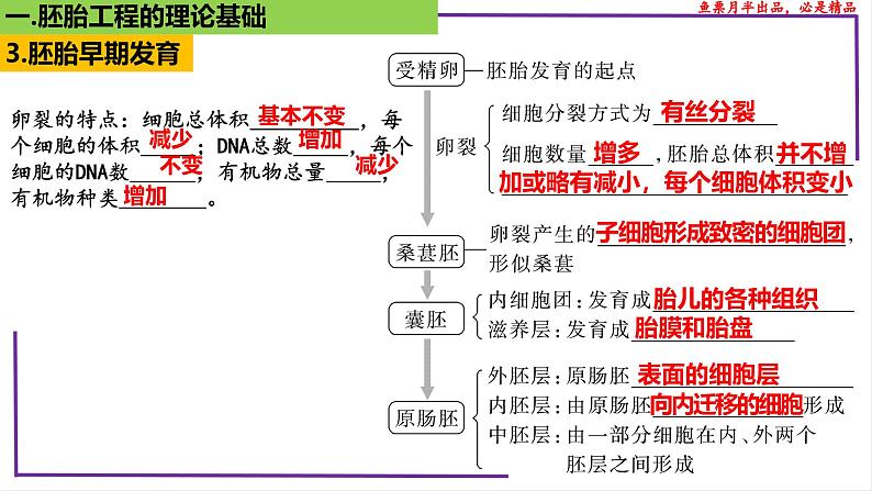 (新人教版)新高考生物一轮复习精讲课件79 胚胎工程(含答案)08