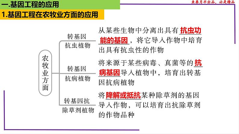 (新人教版)新高考生物一轮复习精讲课件81 基因工程应用和蛋白质工程(含答案)第5页