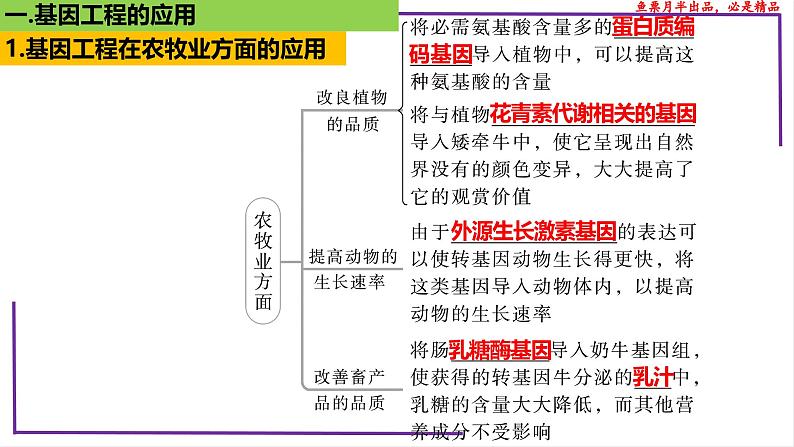 (新人教版)新高考生物一轮复习精讲课件81 基因工程应用和蛋白质工程(含答案)第6页