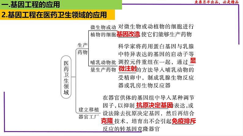 (新人教版)新高考生物一轮复习精讲课件81 基因工程应用和蛋白质工程(含答案)第7页