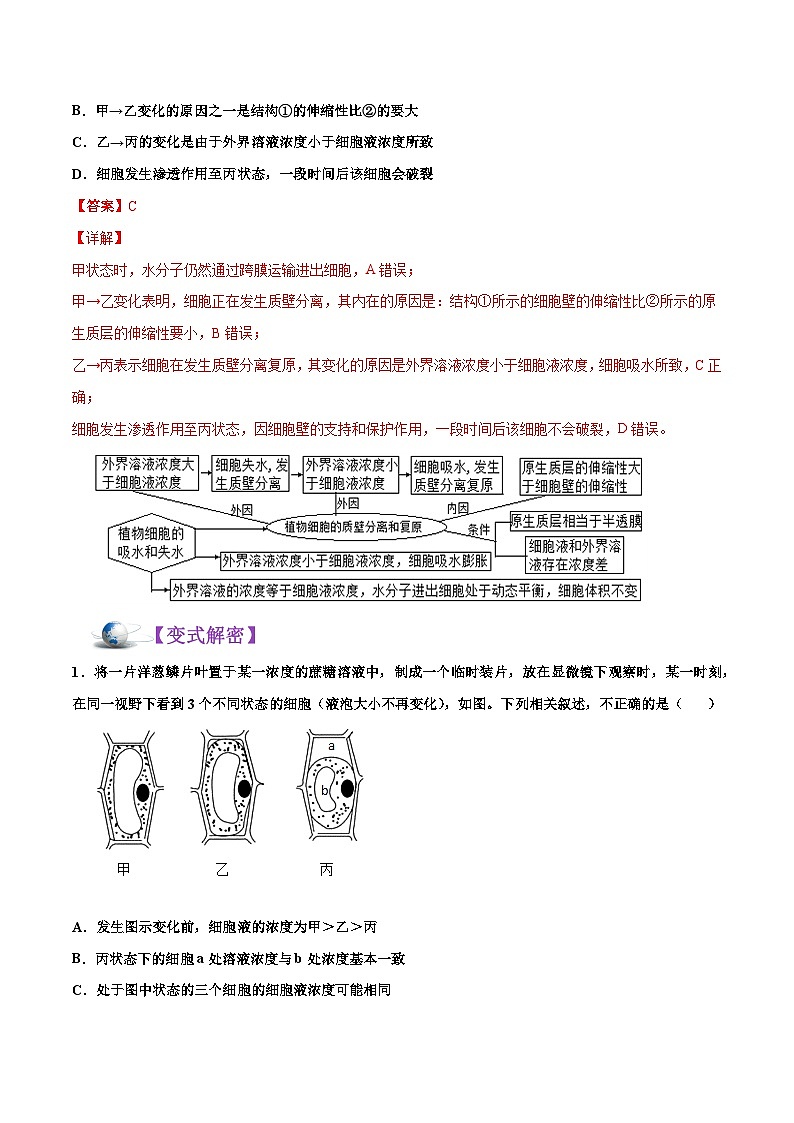 新高考生物二轮复习讲义+分层训练解密03 物质跨膜运输的实例及物质运输的方式(含解析)第3页