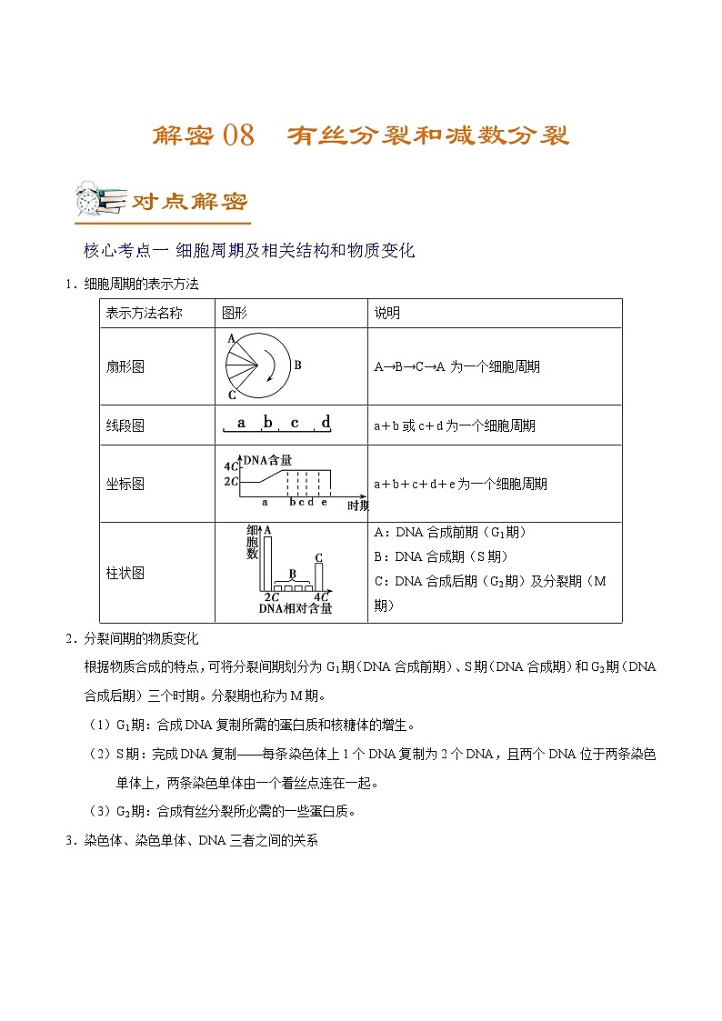 新高考生物二轮复习讲义+分层训练解密08 有丝分裂和减数分裂(含解析)第1页