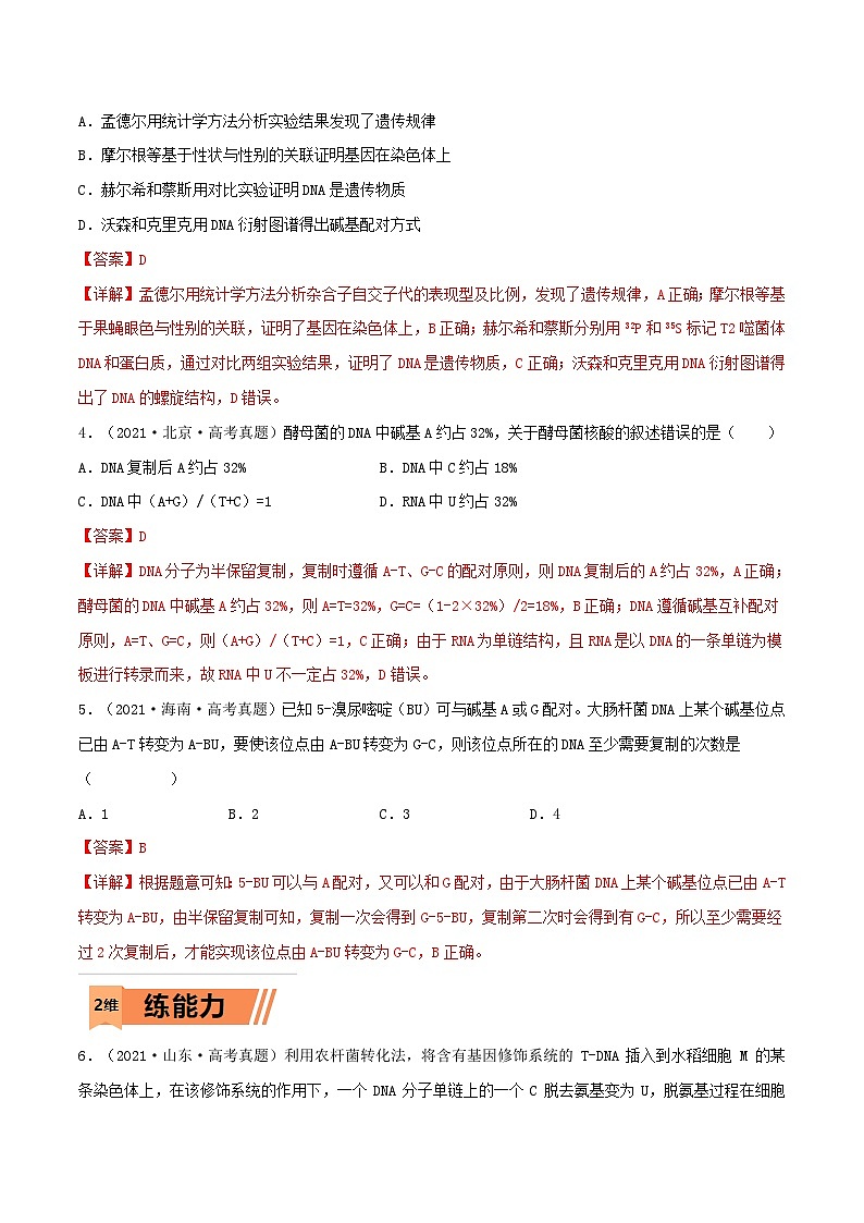 新高考生物一轮复习小题多练第17练 DNA的结构、复制及基因的本质(解析版)第2页